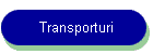 Transporturi