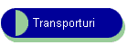 Transporturi